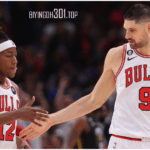 Bulls